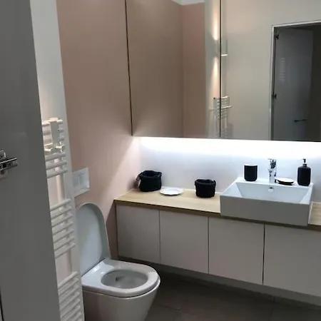 Sunny With Cute Dragon In The Center+parking Appartement Ljubljana